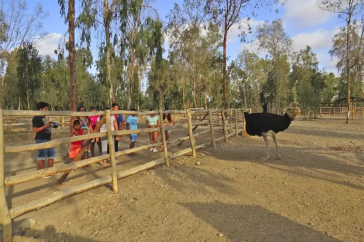 Tour Zoológico de la Ciudad de Tacna